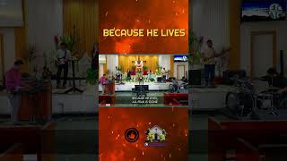 Because  He Lives #shorts #memes #songofpraise #songofworship #worship