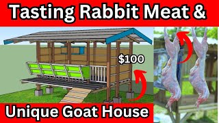 What Does Rabbit meat Taste Like Cooking rabbit and building a Low  budget raised Goat House