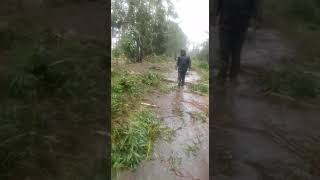 Effects of cyclone Ana in Zimbabwe