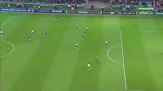 GOL DO DUDU UM GOLAÇO!!! PALMEIRAS 3X0 AMÉRICA-MG BRASILEIRÃO 21/11/2018