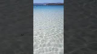 Pietrosella ; Plage Paradisiaque ; Bercer Par La Mer ; Corse du Sud