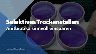 Selektives Trockenstellen - Antibiotika sinnvoll einsparen!