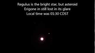 Asteroid Erigone Close Encounter with Regulus