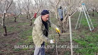 BADEM BUDAMA'DAKİ PÜF NOKTALAR