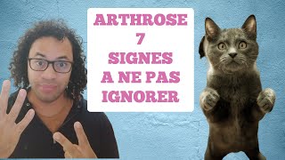 7 Signes Essentiels que Votre Chat Souffre d'Arthrose - À Ne Pas Ignorer!