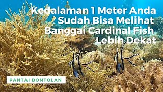 Pantai Bontolan I Keindahan Bawah Laut