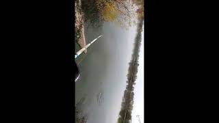 Catching Bass on Broken Spinnerbait