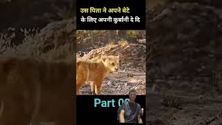 बहादुर शेर पिता ने बेटे की जान बचाई पार्ट 02 #shorts #viralshort