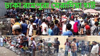 ঢাকার বুকে এক বিশাল কবুতরের হাট | Biggest pigeon market in Dhaka Meradia | Pigeons Market.Net