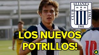 CONOCE a los NUEVOS POTRILLOS SUB20!