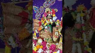 Daily Wonderful Radha Madhava Darshan #isckon #wonderful #radhakrishna #darshan #Radha_Madhav #isk