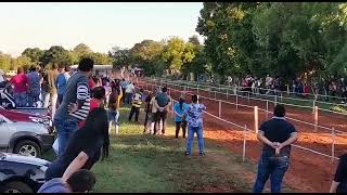 Águila ganadora en el hipódromo Central San Ignacio Mnes