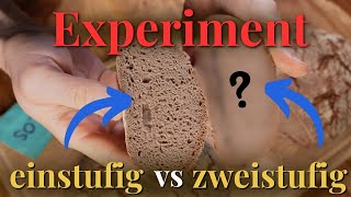 Experiment: Ist mehrstufiger Roggensauerteig die Mühe wert? Wie gut ist die einstufige Führung?