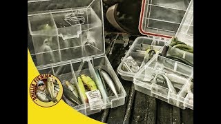 Beginner Tackle - What Tackle Should You Have in Your Tackle Box (2018)