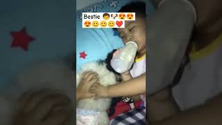 Bestie 🧒😍🐶 #fypシ #puppy #viral #animals #pet #family #bestmoments #animalovers #shitzu #dog #fyp