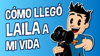 Cómo llegó Laila a mi vida - Batakomics 🐾