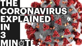 The Coronavirus Explained in Three Minutes