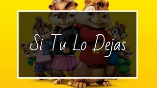 Rvssian - Si Tu Lo Dejas FT Bad Bunny X Farruko X Nicky Jam X King Kosa (COVER by Chipmunks)