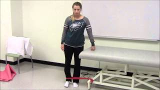 Hip Abductor Strengthening - Standing