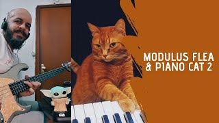 Modulus Flea Bass & The Piano Cat [2]