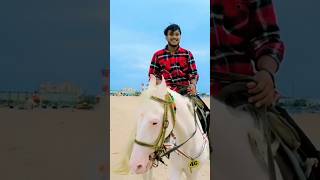 #horse #horser #horseriding #kathiyawarihorse #horselover #kathiawadihorse #indianhorsehorsemela