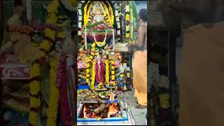 முத்துக்குமாரசுவாமி மலை கும்பாபிஷேகம் முடிந்து கோமாத பூஜை #trending #viral #murugantemple #shorts