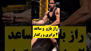 تمرینات حرفه ای برای بازو و ساعد