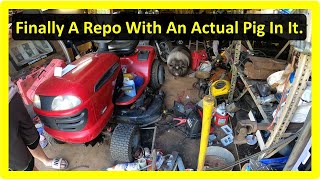 Shed Repo Full Crap Including A pig..