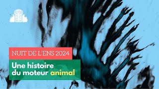 🌙  #4 Une histoire du moteur animal - Nuit de l'ENS 2024 | ENS-PSL