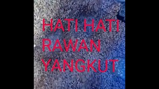 KARPET PERLU DI PER HATIKAN !!