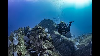 Divemaster Courses in Mexico