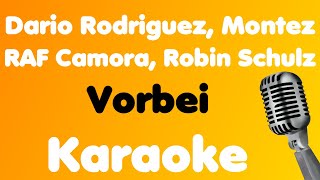 Dario Rodriguez, Montez, RAF Camora, Robin Schulz • Vorbei • Karaoke