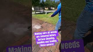 Paver Sealing Preparation #diy #entrepreneur #fypシ #pressurewashing #paversealing #home