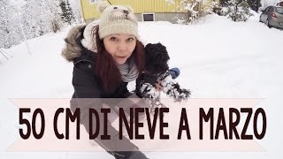 Vlog sett. 9 - 2017  ♥ La Neve a MARZO e chi è il Vikingo???