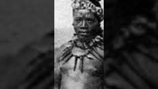 The Rise Of The Zulu War Machine #hokc #history #shorts #zulu #british #shaka