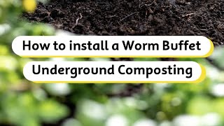 How to install a Worm Buffet