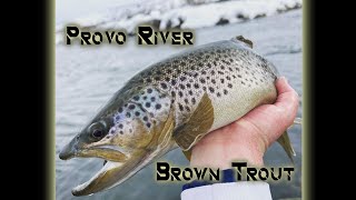 Provo River--Tube Jigs For Brown Trout