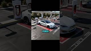 Tesla Model S Plaid: The Ultimate Electric Supercar! The Future of Speed | Velocity Vibes