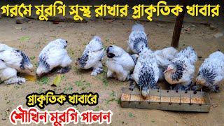 প্রাকৃতিক খাবারে কিভাবে মুরগি পালন করা যাবে || Nur Bhai