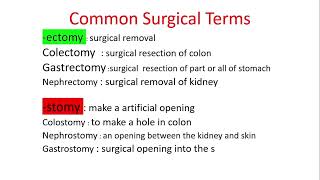 Common Surgical Terms || Surgical Knowledge #Medical