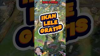 GRATIS❗❗ TINGGAL AMBIL ☝#shorts #videoshort