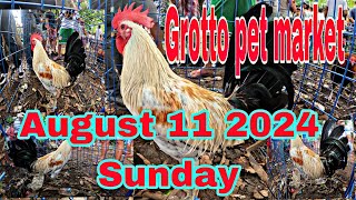 Grotto pet market , August 11 2024