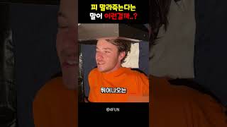 피 말라죽는다는 말이 이런걸까..?