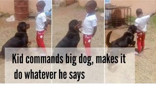 Fearless kid commands dog like a policeman, video shows dog obeying him