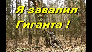 Я ЗАВАЛИЛ ГИГАНТА И НАШЁЛ МОНЕТЫ ! -Metal Detecting