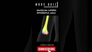 identify the lateral epicondyle 3d #medicalquiz #humerus #neetpgpreparation #mbbsanatomy