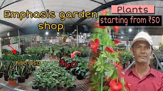 Wholesale Nursery plant 🪴🥺|| Emphasis Garden Shop #syedibrahimvlogs #emphasis #nursery