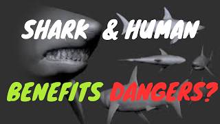 Shark Exploration: Great predator under the sea , Hunting Techniques, Processing, and Human Impact