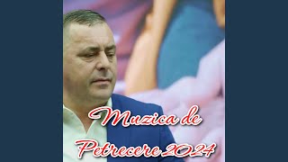 MUZICA DE PETRECERE 2024