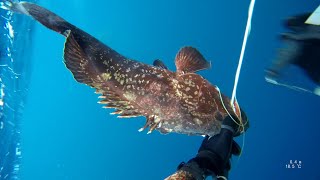 Spearfishing Tips & Lessons - You never know | Malta | SPEARFISHERZ | 4K